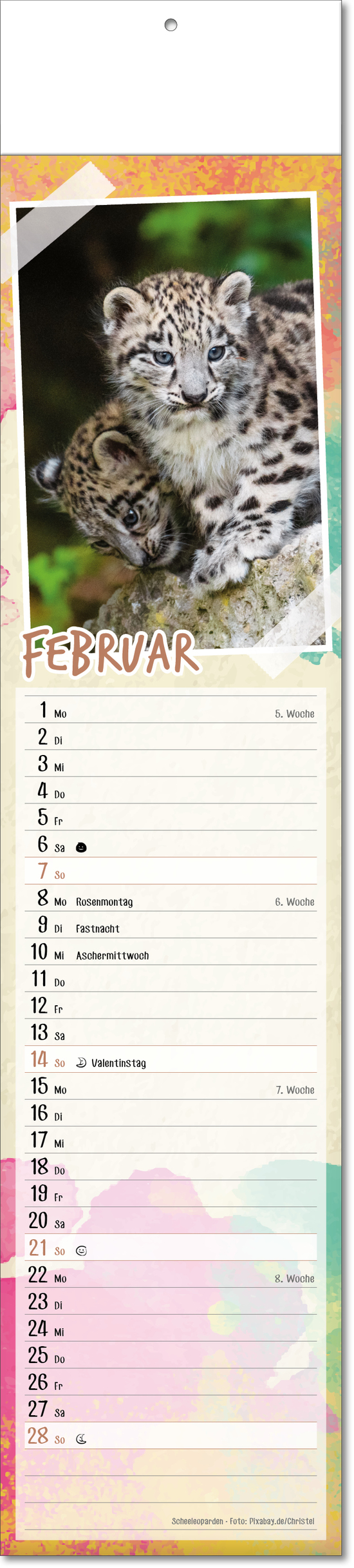 Bildstreifenkalender Tierbabys, Fälzel