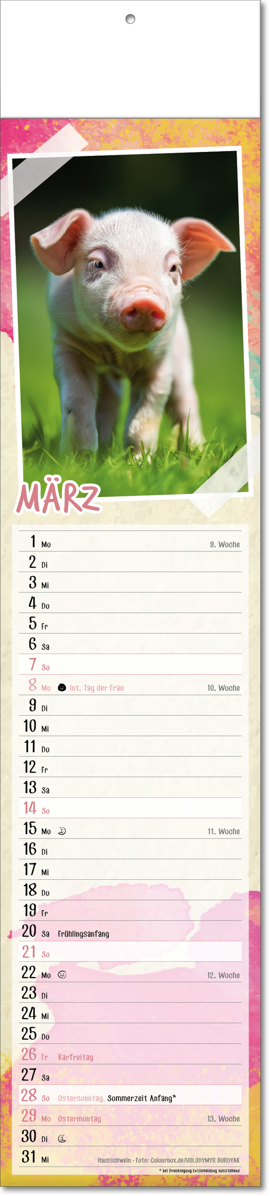 Bildstreifenkalender Tierbabys, Fälzel
