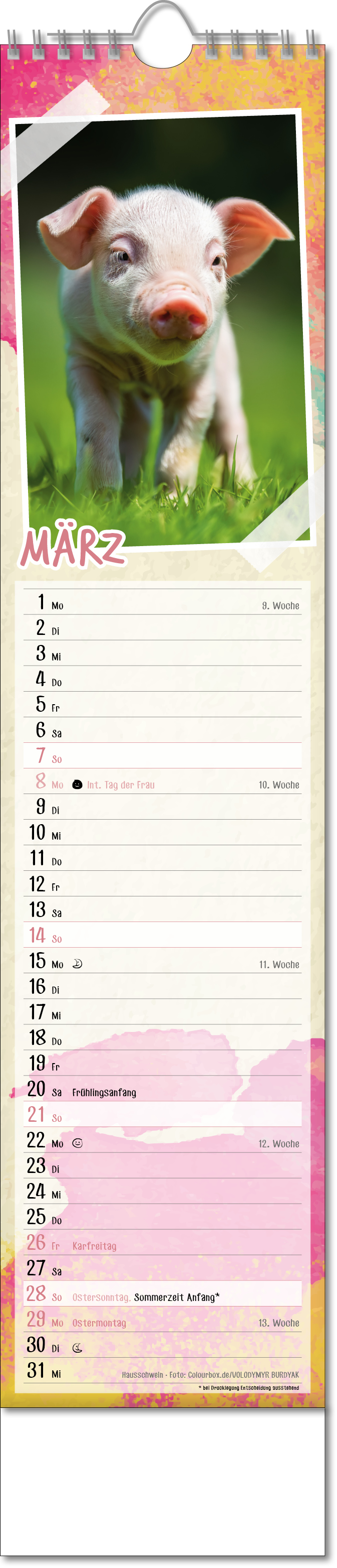 Bildstreifenkalender Tierbabys, Wire