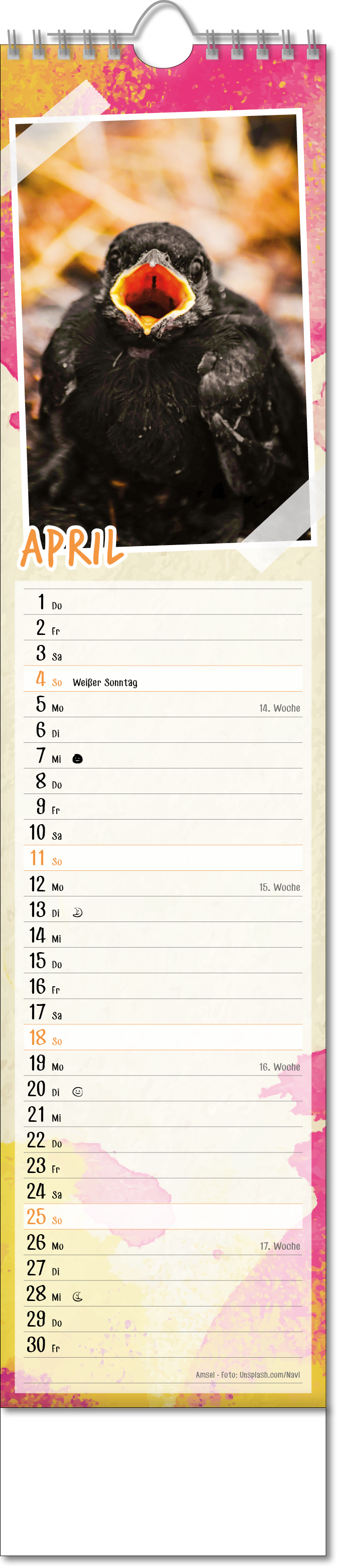 Bildstreifenkalender Tierbabys, Wire