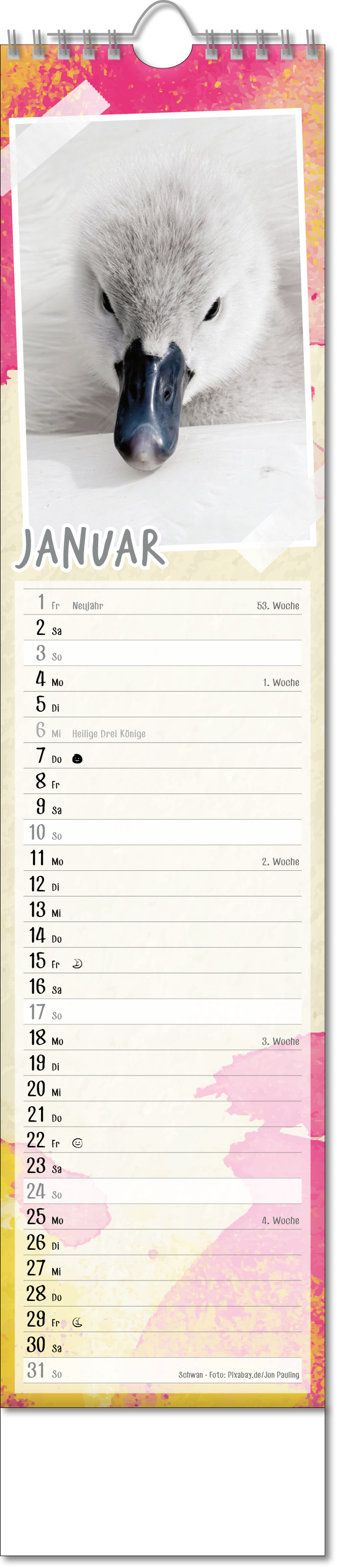 Bildstreifenkalender Tierbabys, Wire