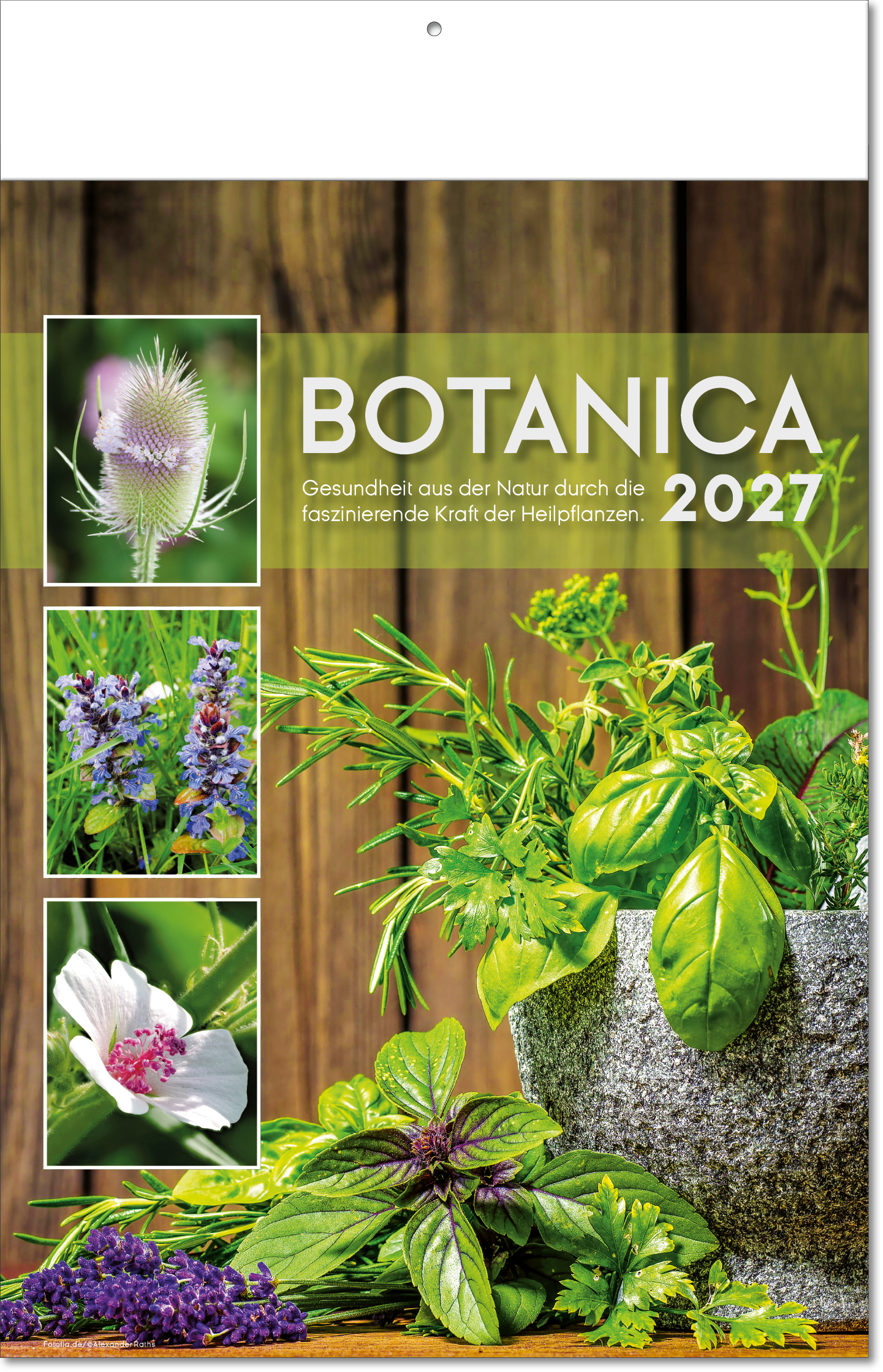 Bildkalender Botanica, Fälzel