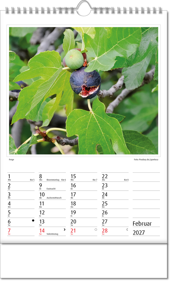 Bildkalender Botanica, Wire