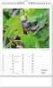 Bildkalender Botanica, Wire