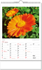 Bildkalender Botanica, Wire