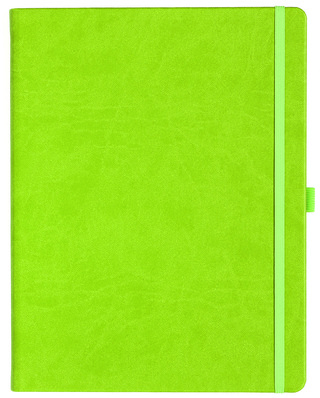 Notizbuch Style Large im Format 19x25cm, Inhalt kariert, Einband Slinky in der Farbe Lime