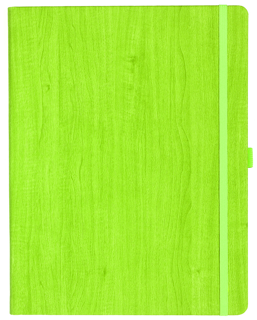 Notizbuch Style Large im Format 19x25cm, Inhalt liniert, Einband Woody in der Farbe Lime