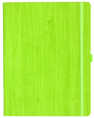 Notizbuch Style Large im Format 19x25cm, Inhalt liniert, Einband Woody in der Farbe Lime