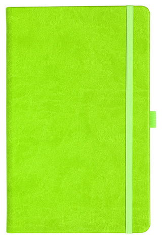 Notizbuch Style Medium im Format 13x21cm, Inhalt blanco, Einband Slinky in der Farbe Lime