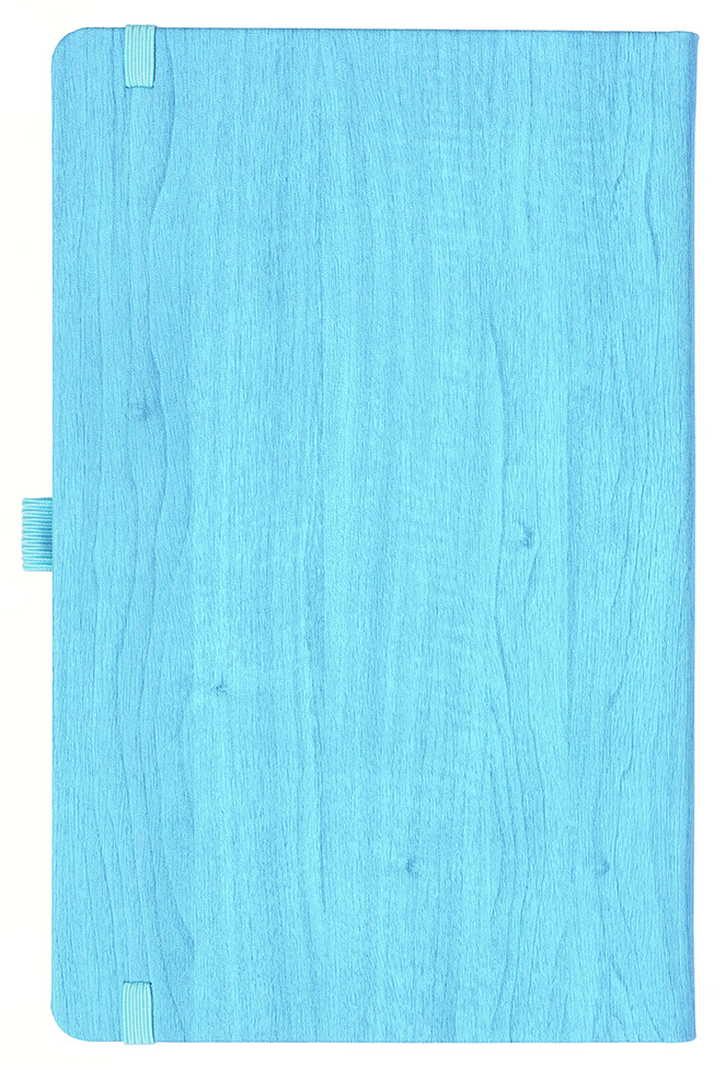 Notizbuch Style Medium im Format 13x21cm, Inhalt blanco, Einband Woody in der Farbe Sky