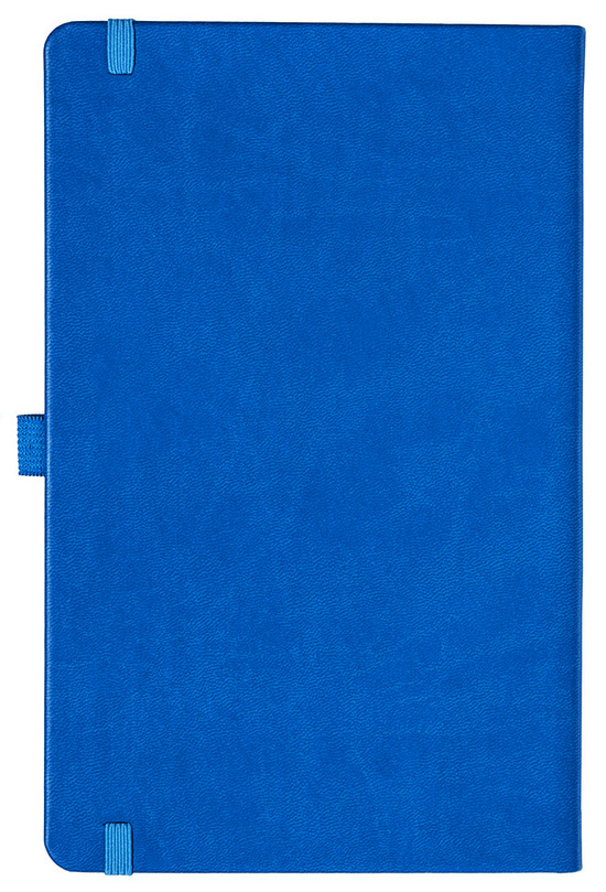 Notizbuch Style Medium im Format 13x21cm, Inhalt kariert, Einband Slinky in der Farbe Azure