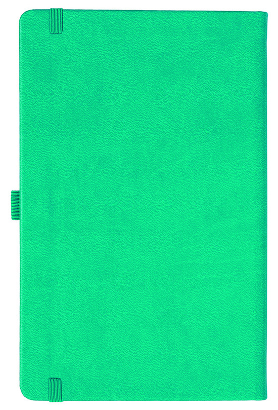 Notizbuch Style Medium im Format 13x21cm, Inhalt kariert, Einband Slinky in der Farbe Turquoise