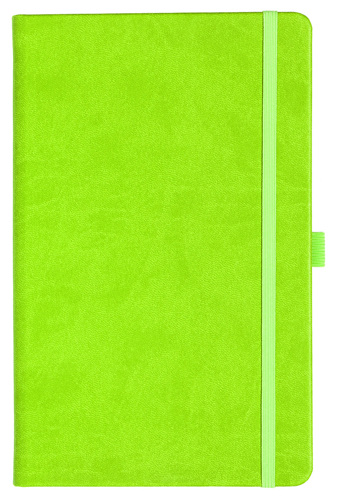 Notizbuch Style Medium im Format 13x21cm, Inhalt liniert, Einband Slinky in der Farbe Lime