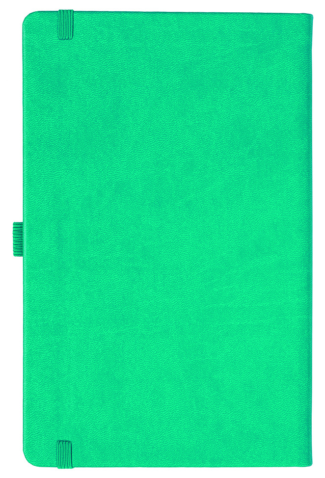 Notizbuch Style Medium im Format 13x21cm, Inhalt liniert, Einband Slinky in der Farbe Turquoise