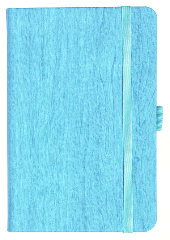 Notizbuch Style Small im Format 9x14cm, Inhalt kariert, Einband Woody in der Farbe Sky