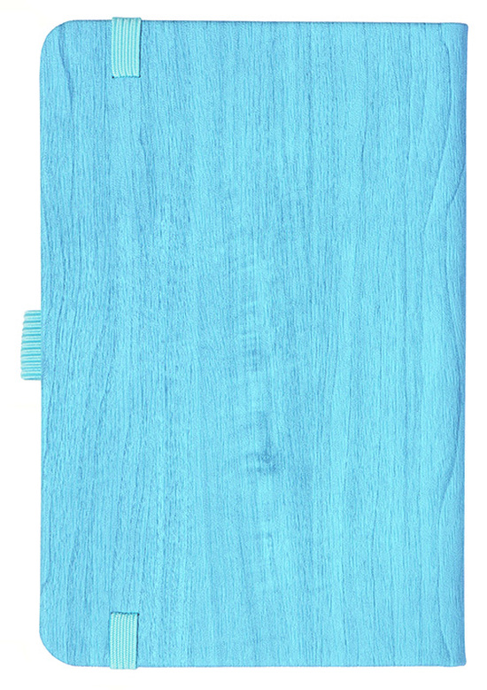 Notizbuch Style Small im Format 9x14cm, Inhalt liniert, Einband Woody in der Farbe Sky