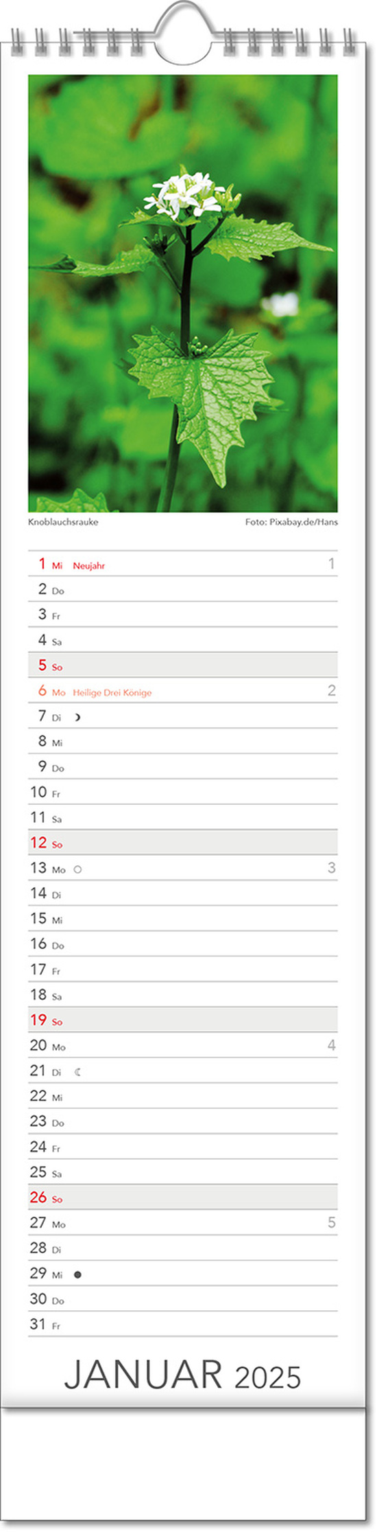 Kalender "Tee & Heiltees" im Format 13 x 52,5 cm, mit Wire-O Bindung und verlängerter Rückwand