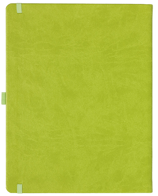 Notizbuch Style Large im Format 19x25cm, Inhalt liniert, Einband Slinky in der Farbe Lime