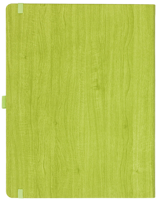 Notizbuch Style Large im Format 19x25cm, Inhalt liniert, Einband Woody in der Farbe Lime