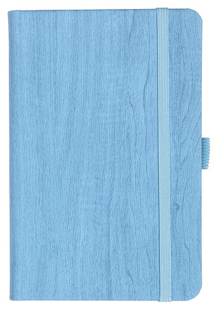 Notizbuch Style Small im Format 9x14cm, Inhalt blanco, Einband Woody in der Farbe Sky