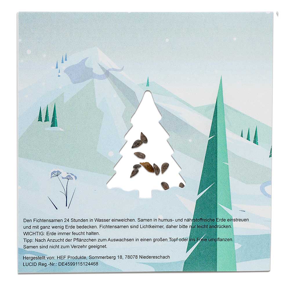 Samen-Karte Tannenbaum - Fichte
