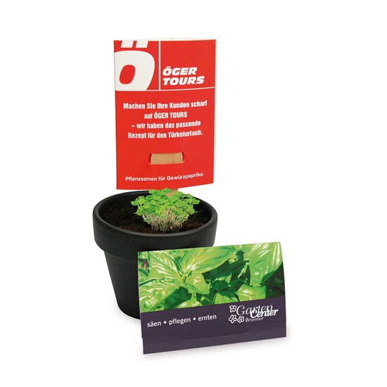 Pflanz-Stick mit Samen - Vergissmeinnicht, 1 Seite gelasert