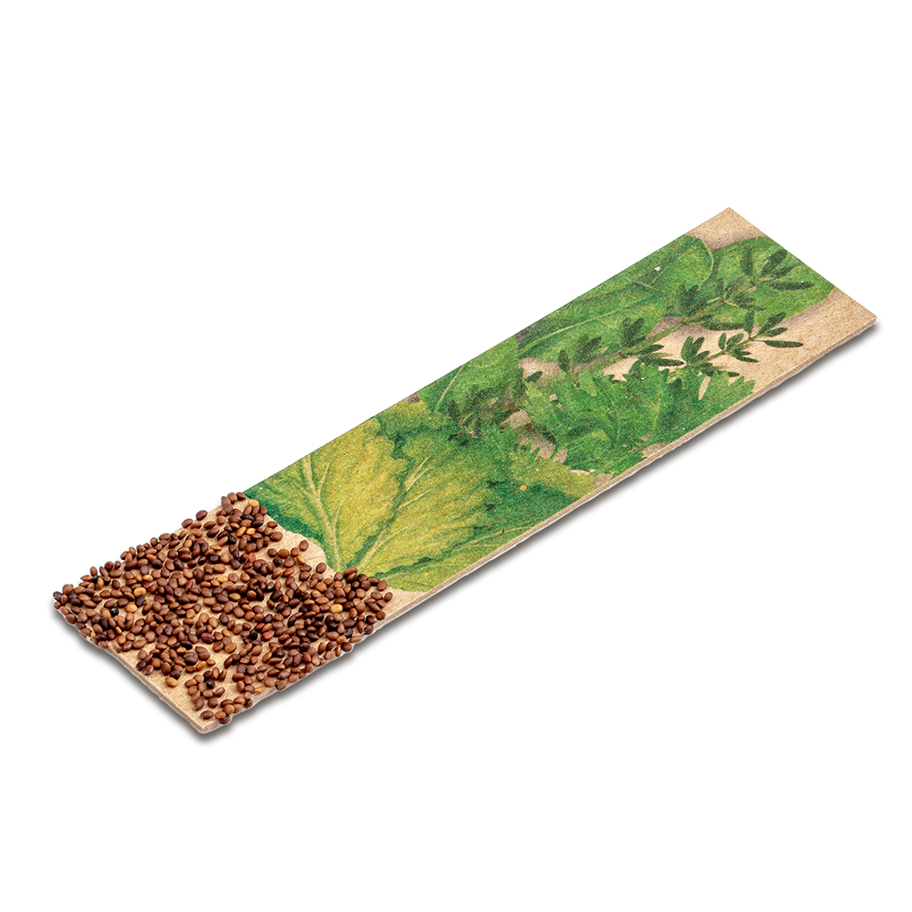 Kräuter-Stick mit Samen - Schnittsalat