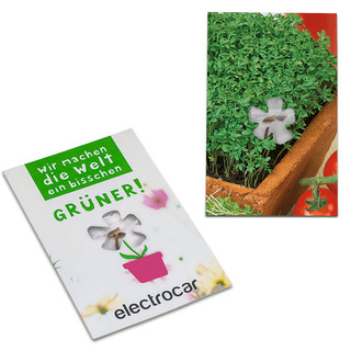 Samen-Karte-Mini Blume - Gartenkresse