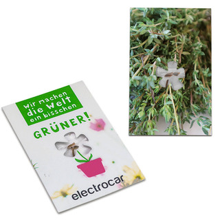 Samen-Karte-Mini Blume - Thymian