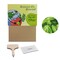 Pflanz-Set - 2er-Set - Basilikum / Gartenkresse