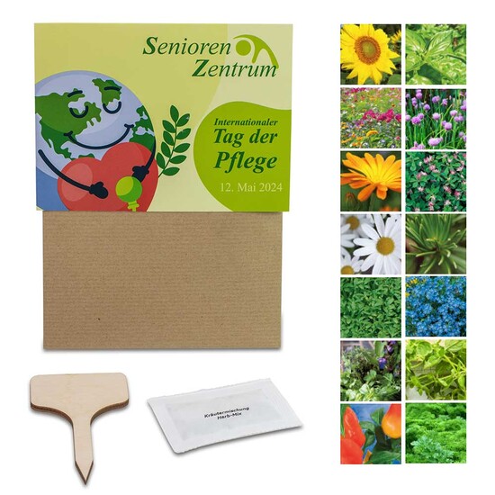 Pflanz-Set - 3er-Set - Sonnenblume / Margerite / Ringelblume