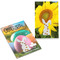 Samen-Karte-Mini Ostern - Sonnenblume
