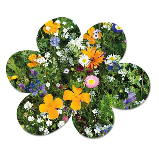 Samenpapier in Klappkärtchen Ei - Blümchen