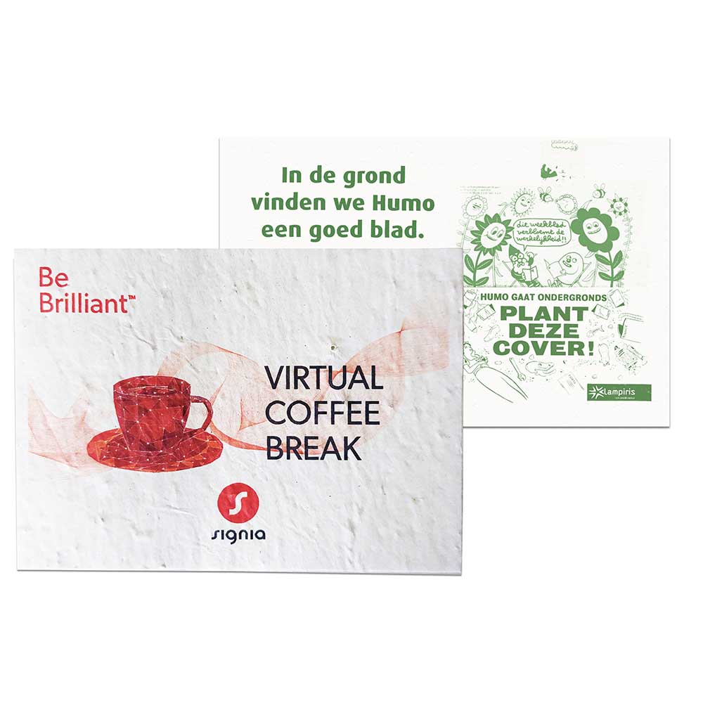 Samenpapier DIN A6 - Kräutermischung, Druck 4/4-c