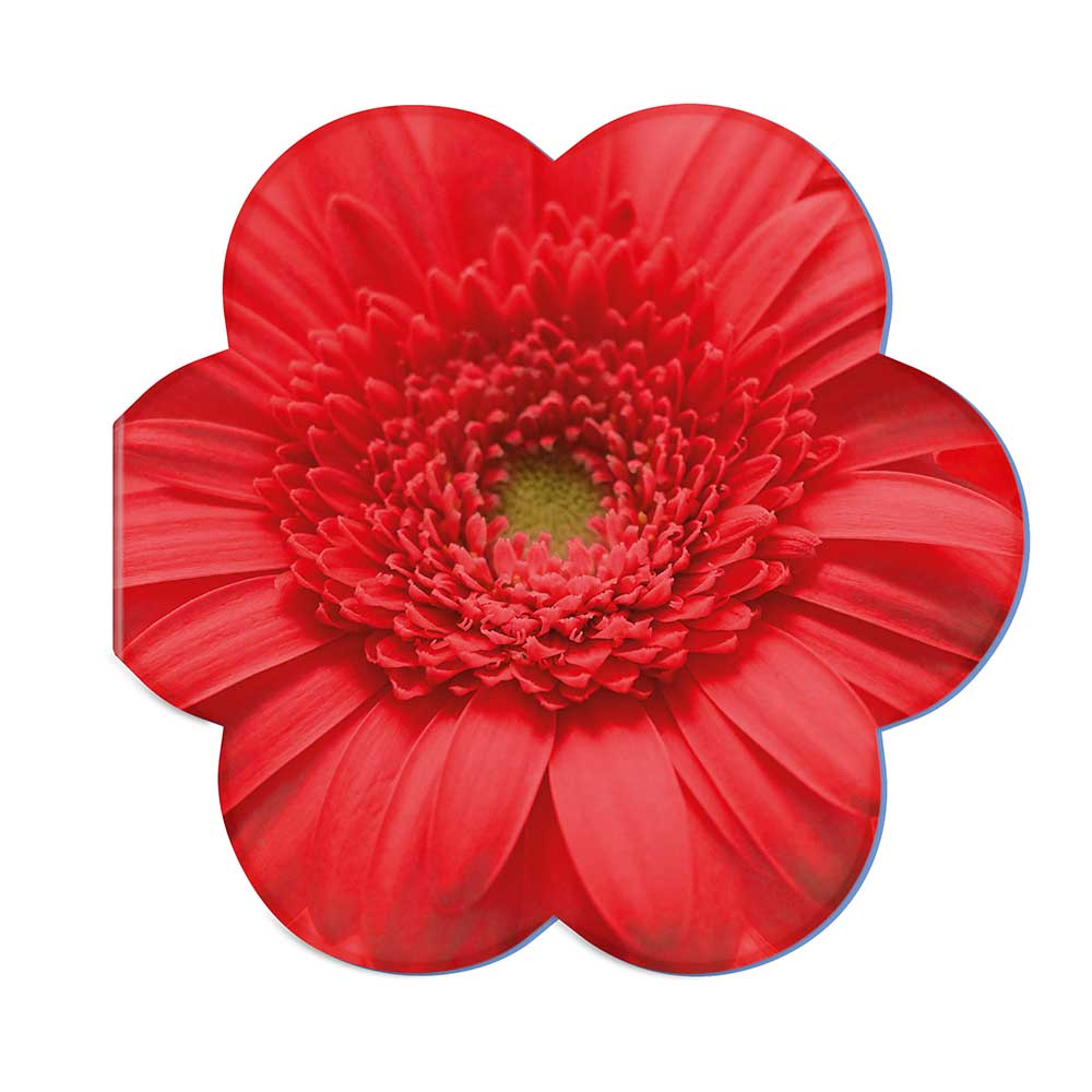 Samenpapier in Klappkärtchen Blume - Blümchen