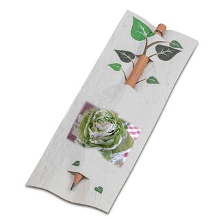 Bleistift im Samenpapieretui - Kopfsalat, Druck 4/0-c