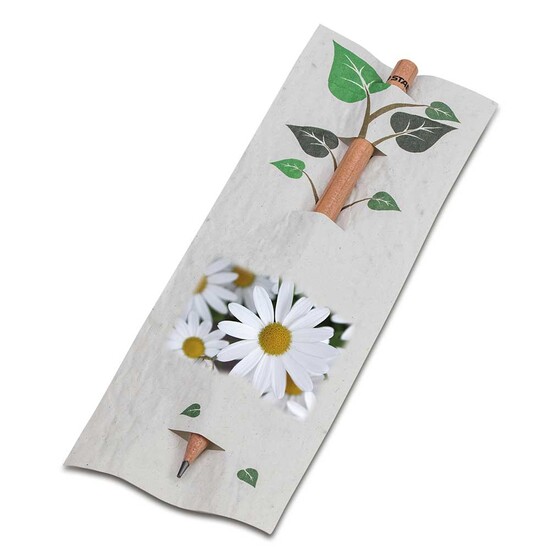 Bleistift im Samenpapieretui - Margerite, Druck 4/0c, Lasergravur