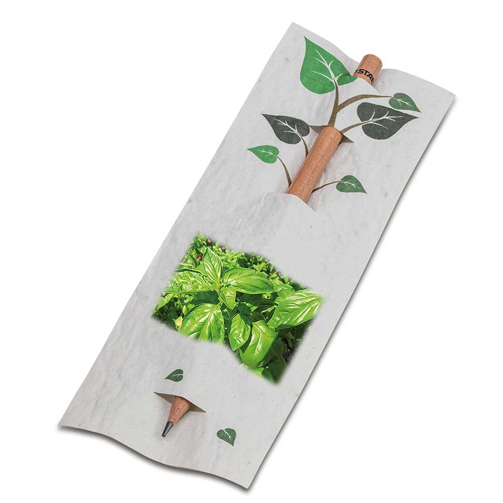 Bleistift im Samenpapieretui - Basilikum, Druck 4/4c, Lasergravur