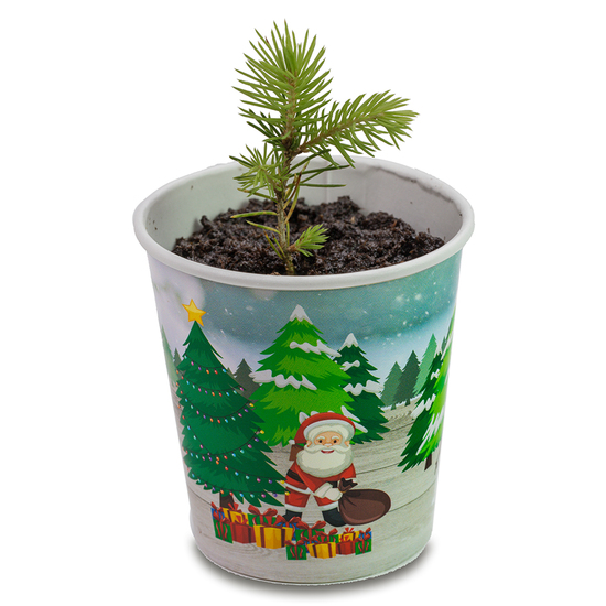 Weihnachtsbaum To-Go - neutral