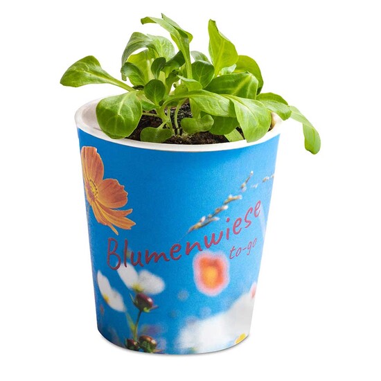 Blumenwiese To-Go - Ostern - Glücksklee-Zwiebel(* Je nach Verfügbarkeit der Glücksklee-Zwiebeln) - neutral mit 1-c Logoeindruck