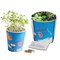Blumenwiese To-Go - Ostern