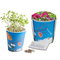 Blumenwiese To-Go - Ostern