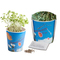 Blumenwiese To-Go - Ostern