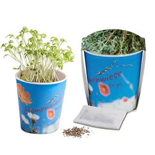 Blumenwiese To-Go - Ostern - Thymian - Druck individuell 4/0-c