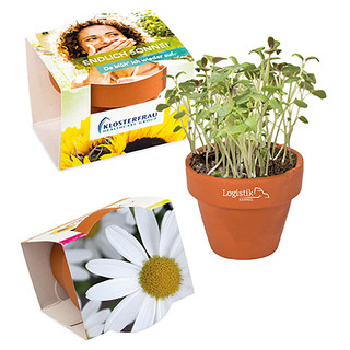 Logo-Töpfchen Komplettbanderole mit Samen - Margerite