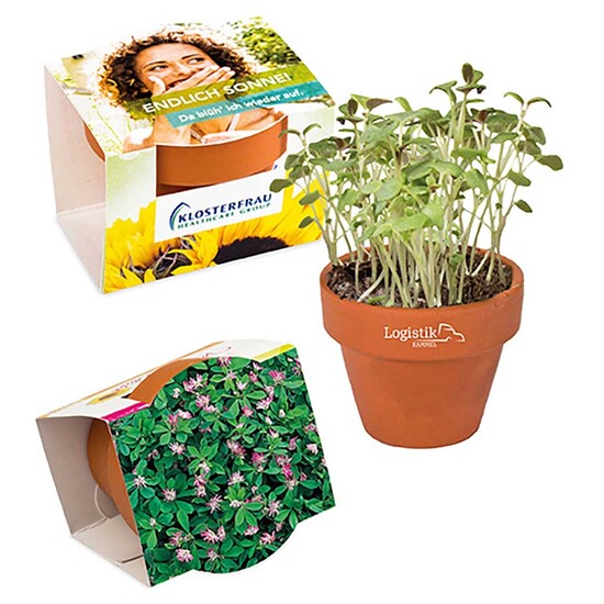 Logo-Töpfchen Komplettbanderole mit Samen - Persischer Klee