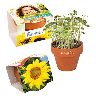 Logo-Töpfchen Komplettbanderole mit Samen - Sonnenblume
