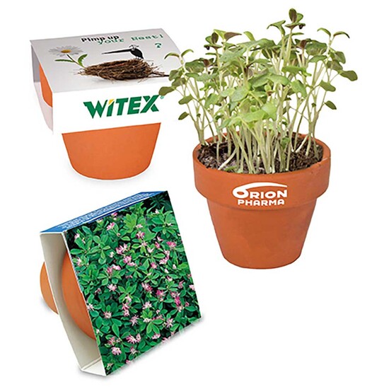 Logo-Töpfchen Banderole mit Samen - Persischer Klee