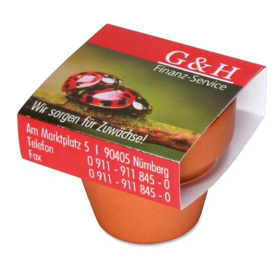 Logo-Topf mit Samen - teracotta - Margerite