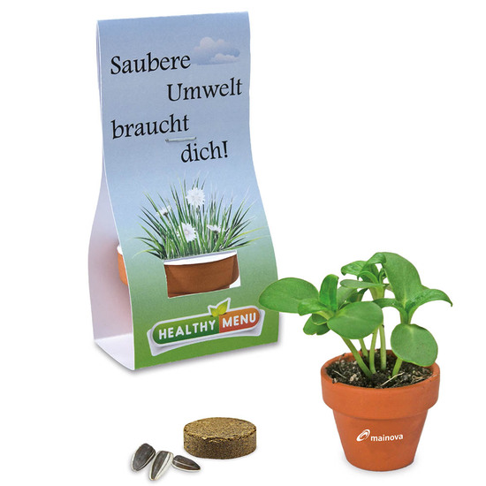 Logo-Töpfchen Überreichverpackung mit Samen - Petersilie